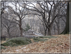 foto Central Park in Inverno